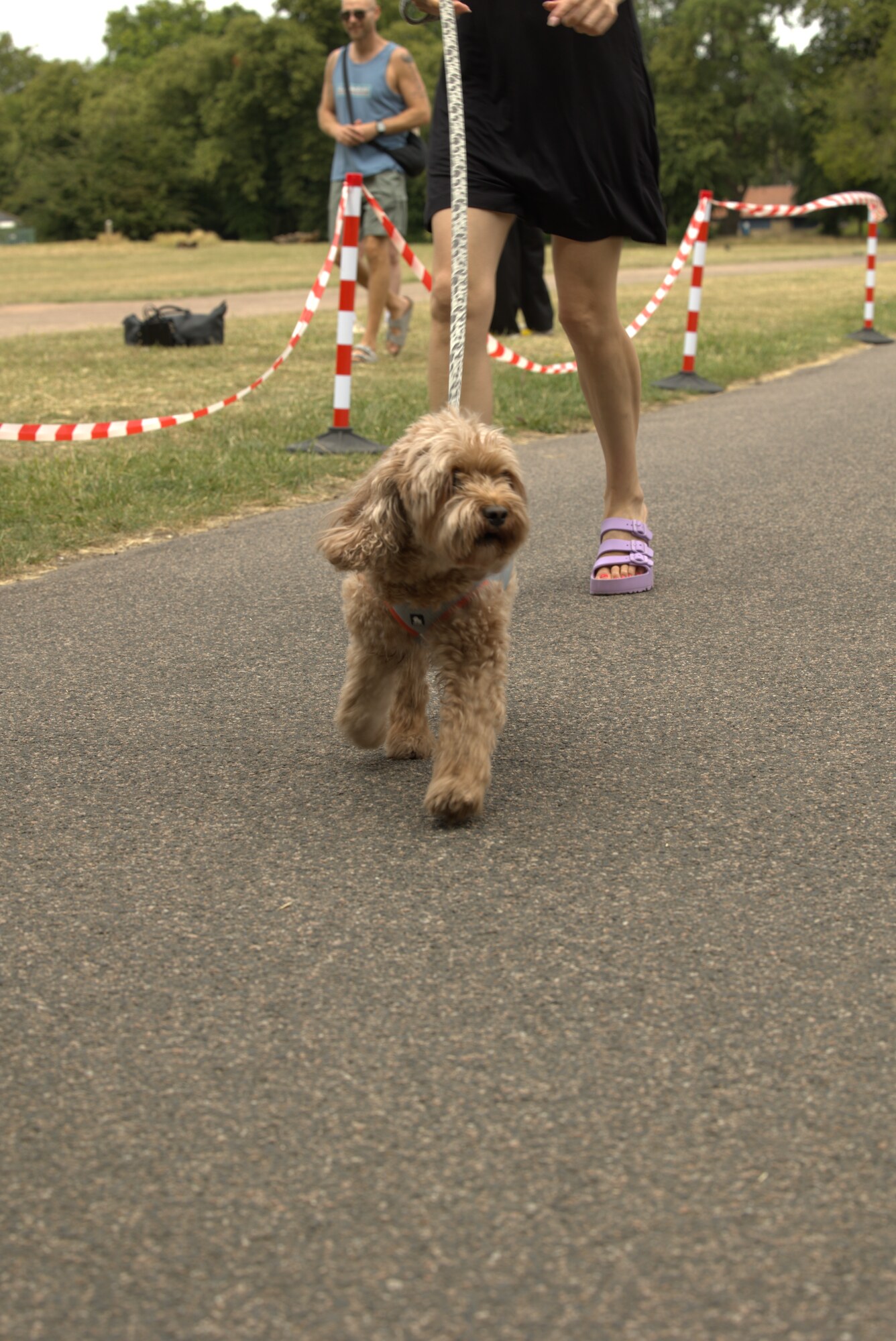Affordable Running 5 July race photo 205